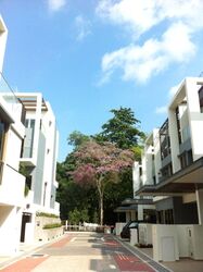 Tagore Avenue (D26), Terrace #569224591